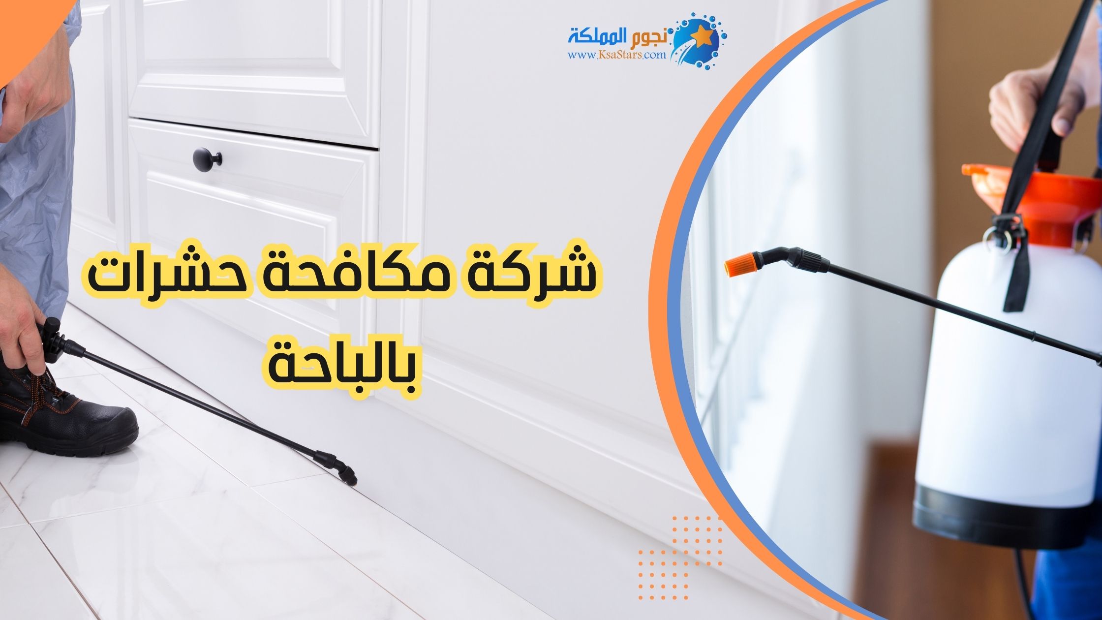 شركة مكافحة حشرات بالباحة